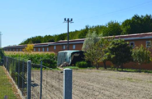 immagine annuncio 2 di 10