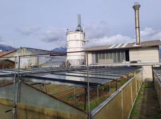 immagine annuncio 8 di 10