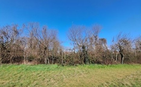 immagine annuncio 4 di 6