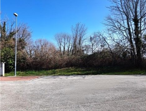 immagine annuncio 2 di 6