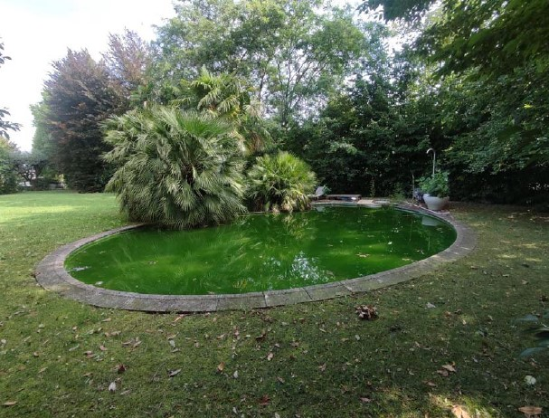 immagine annuncio 2 di 9