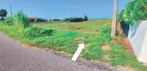 immagine annuncio 1 di 6