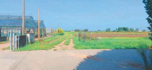 immagine annuncio 2 di 6