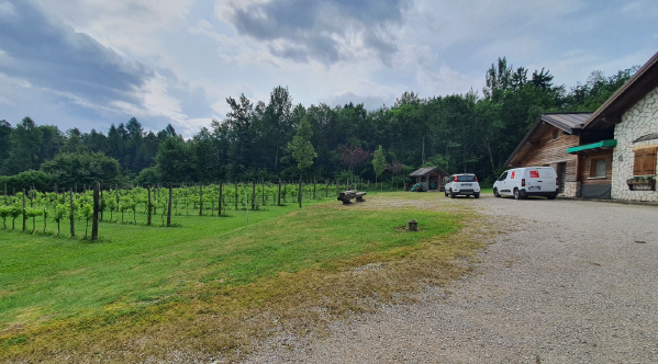 immagine annuncio 4 di 10