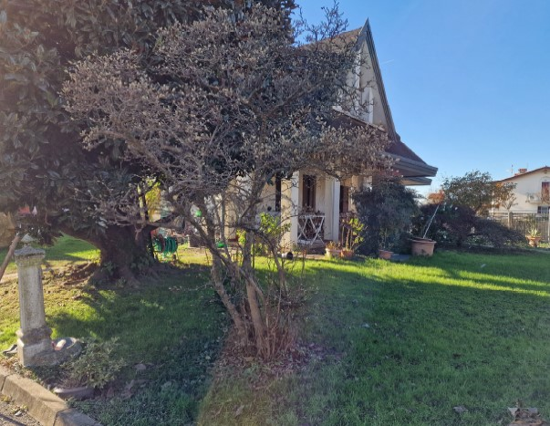 immagine annuncio 1 di 6