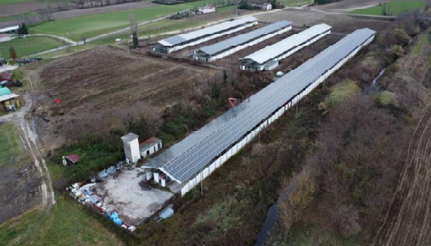 immagine annuncio 1 di 10