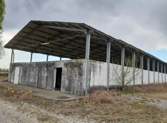 immagine annuncio 3 di 10