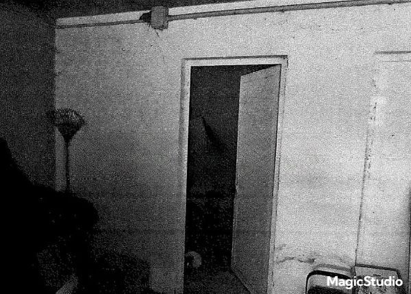 immagine annuncio 6 di 8