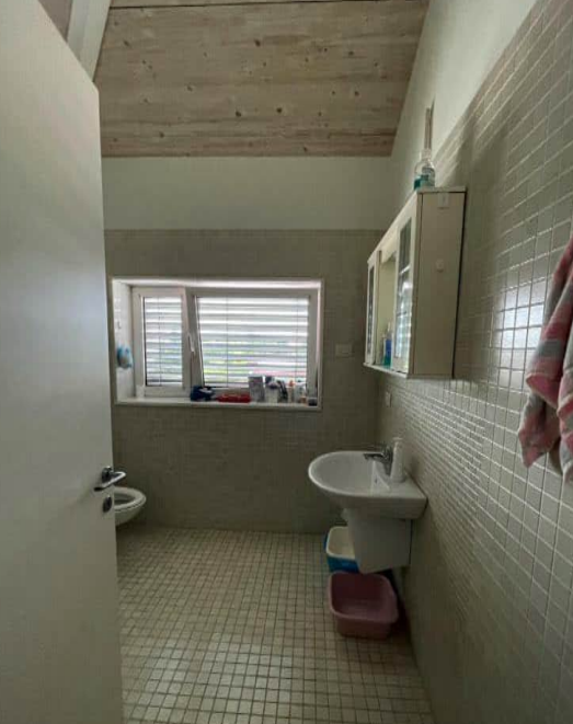 immagine annuncio 3 di 8