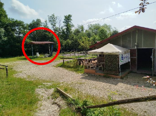 immagine annuncio 6 di 10