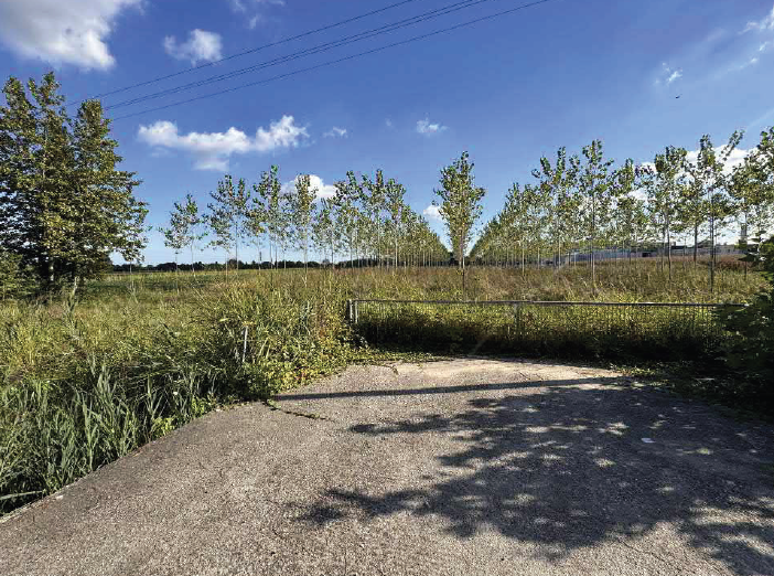 immagine annuncio 3 di 6