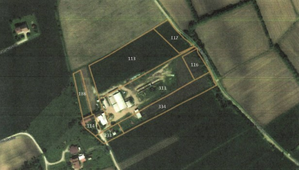 immagine annuncio 5 di 7