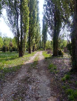 immagine annuncio 1 di 6