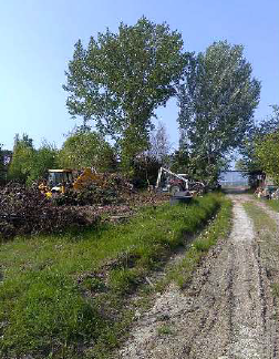 immagine annuncio 4 di 6