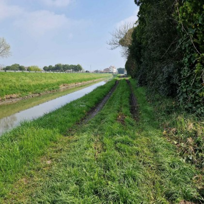 immagine annuncio 2 di 9