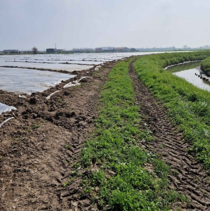 immagine annuncio 5 di 9