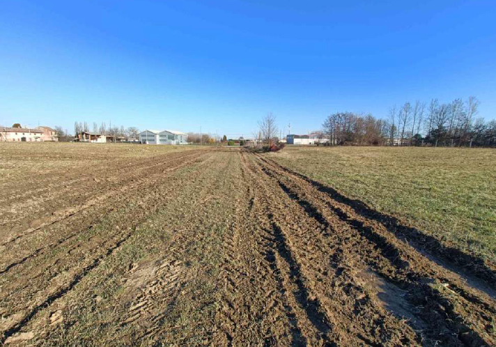 immagine annuncio 1 di 6