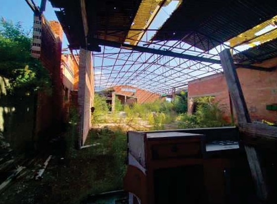 immagine annuncio 8 di 10