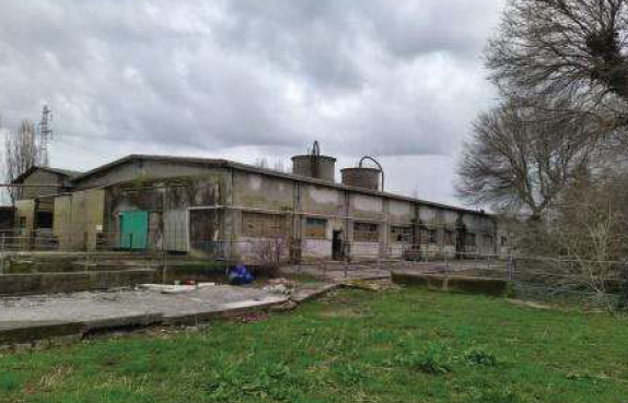 immagine annuncio 5 di 10