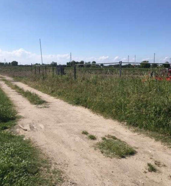 immagine annuncio 3 di 6