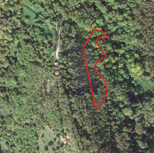 immagine annuncio 3 di 6