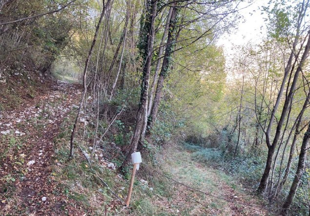 immagine annuncio 1 di 6