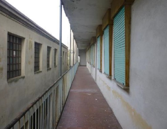 immagine annuncio 3 di 9