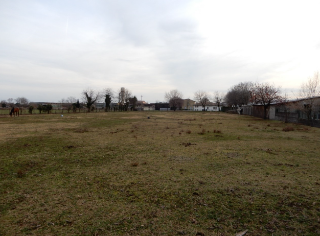 immagine annuncio 3 di 9