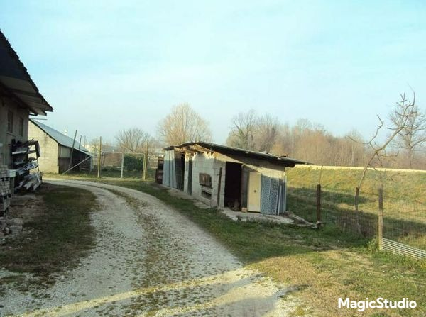 immagine annuncio 9 di 10