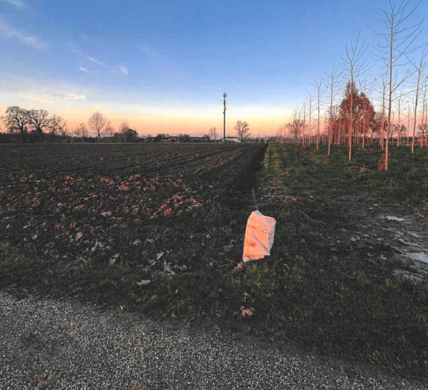 immagine annuncio 2 di 4