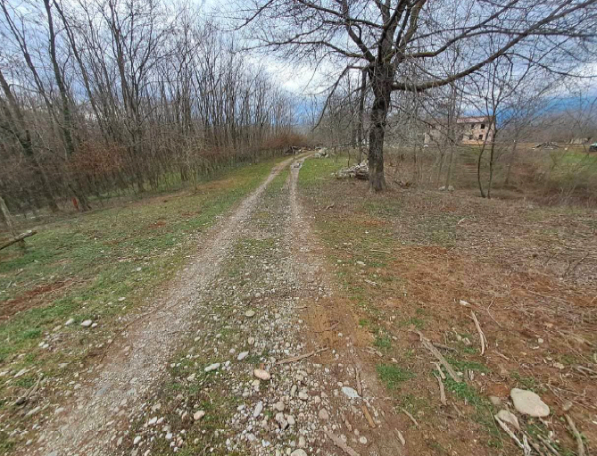 immagine annuncio 2 di 9