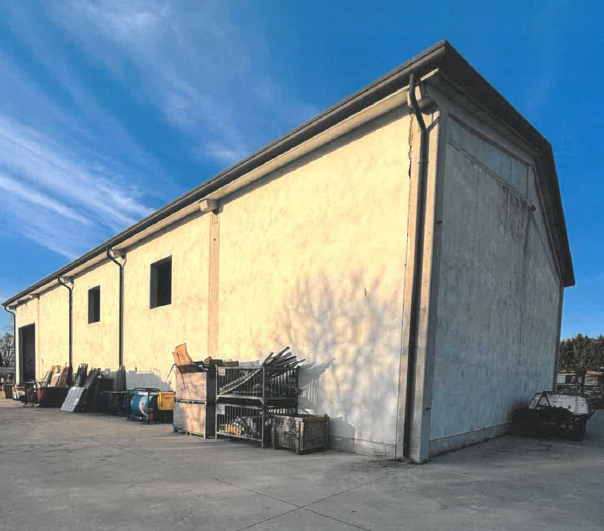 immagine annuncio 4 di 6