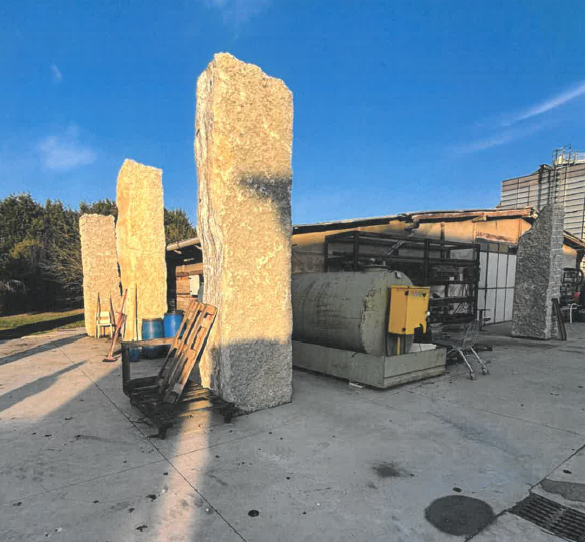 immagine annuncio 3 di 6