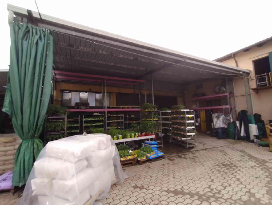 immagine annuncio 4 di 10