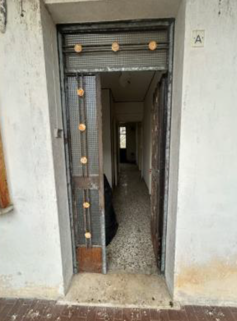 immagine annuncio 5 di 7