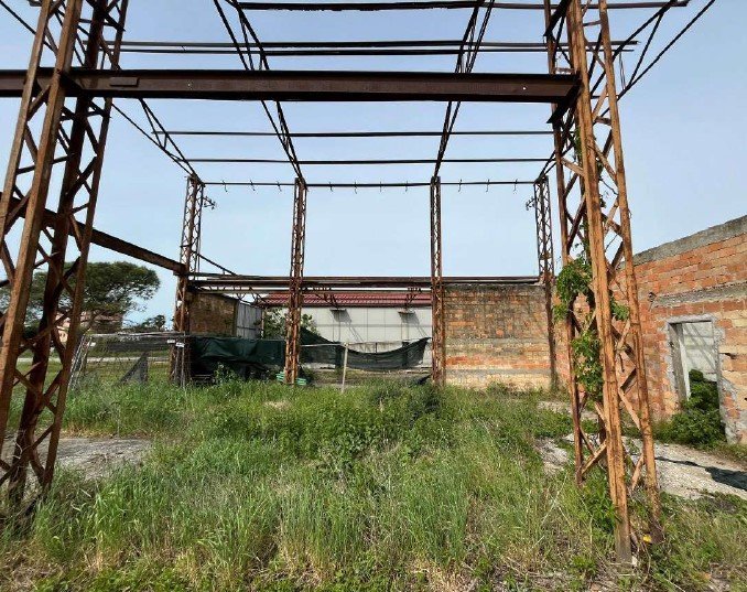 immagine annuncio 3 di 6