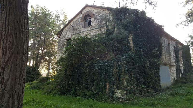 immagine annuncio 2 di 7