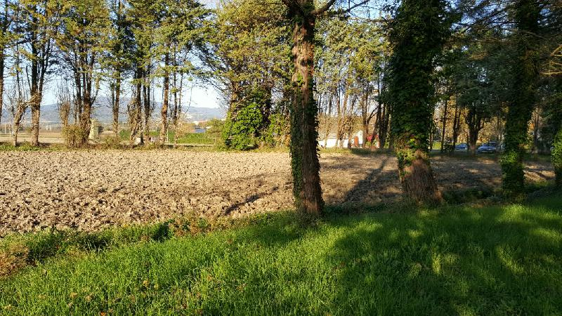 immagine annuncio 3 di 7
