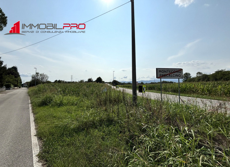 immagine annuncio 4 di 8