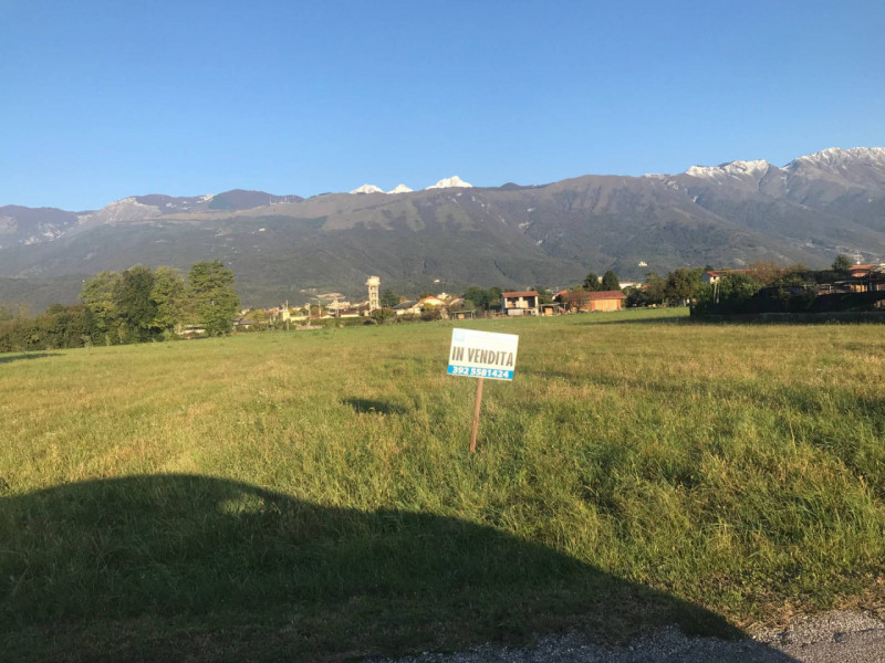 immagine annuncio 1 di 4