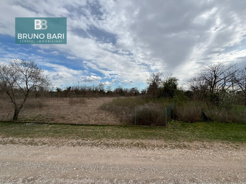 immagine annuncio 4 di 7