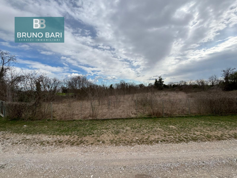 immagine annuncio 2 di 7