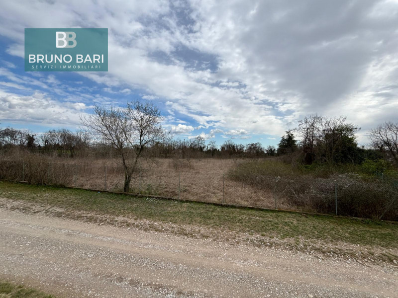 immagine annuncio 3 di 7