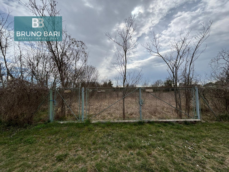 immagine annuncio 5 di 7