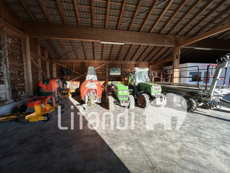 immagine annuncio 8 di 10