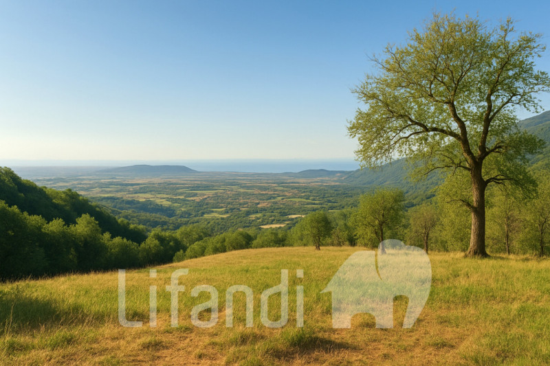 immagine annuncio 4 di 6