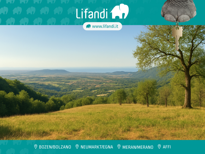 immagine annuncio 6 di 10