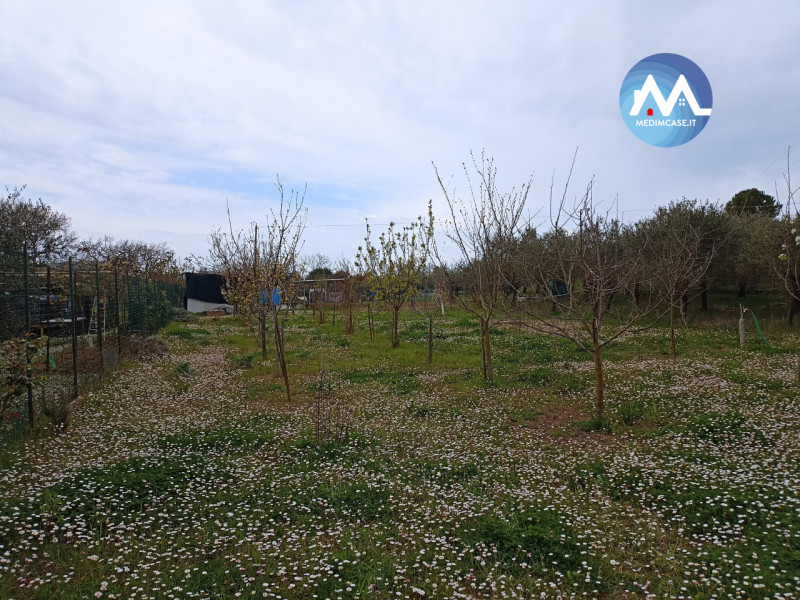 immagine annuncio 4 di 7