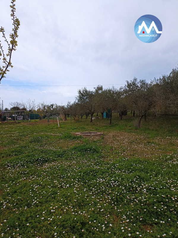 immagine annuncio 1 di 7