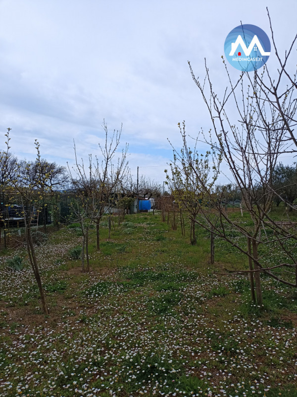 immagine annuncio 2 di 7